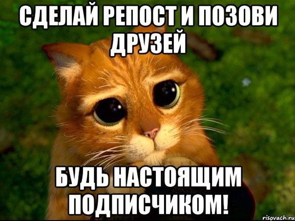 Как выйти замуж за грузина. Особенности грузинской семьи Дешёвый хостинг сайтов - хостинг и бесплатный домен