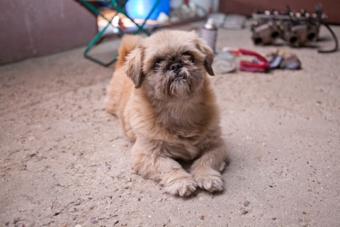 Зображення