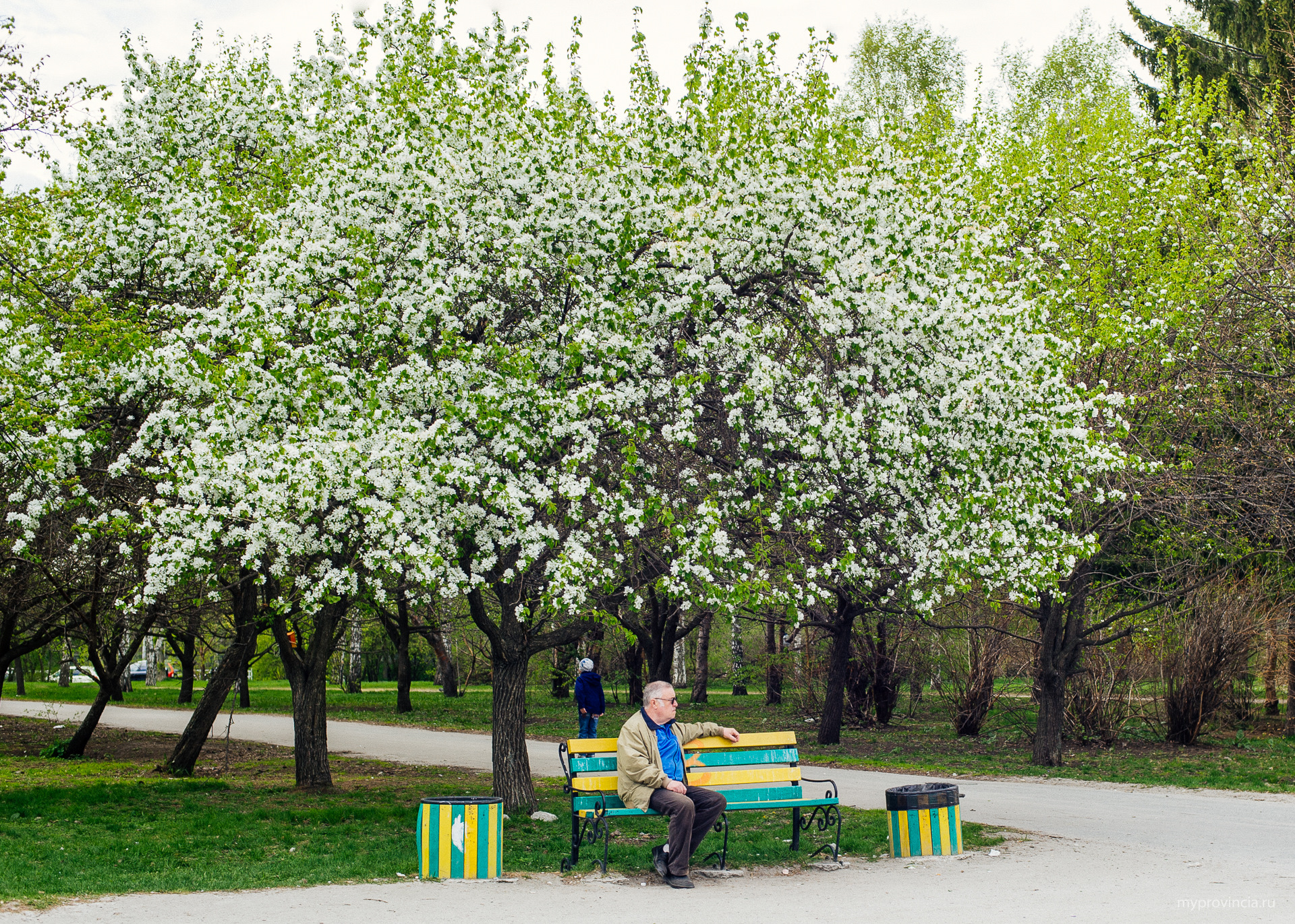 Где Купить Яблони В Екатеринбурге