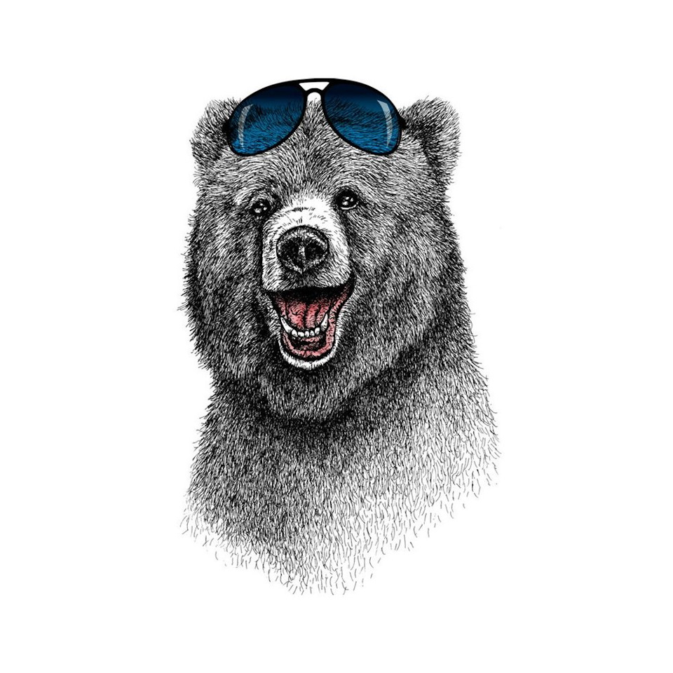 Медведь в очках фото