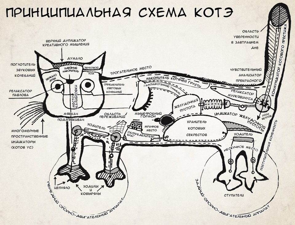 Мурчать и трахаться