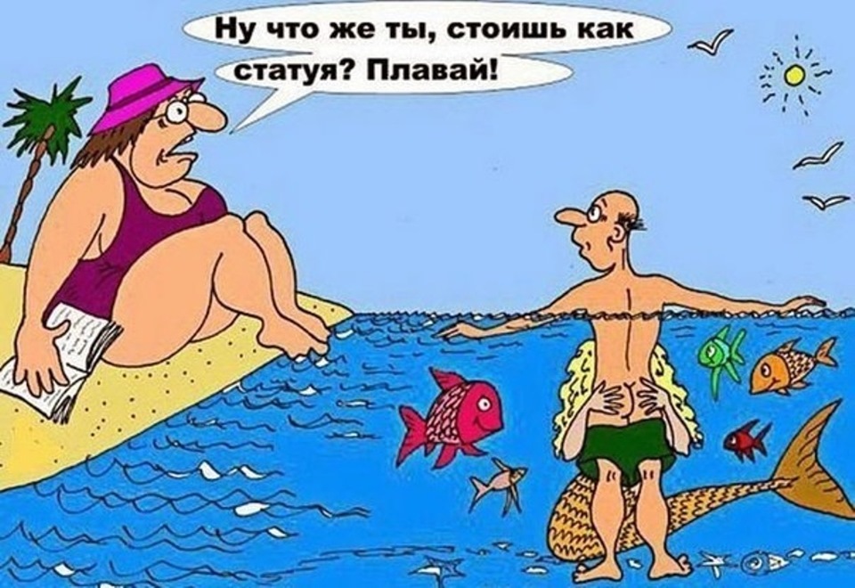 Адресник для собак своими руками Адресник для собак своими руками