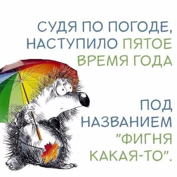 Красивые статусы, крылатые фразы, мудрые изречения, афоризмы Красивая футболка со вставкой из шифона и кружева