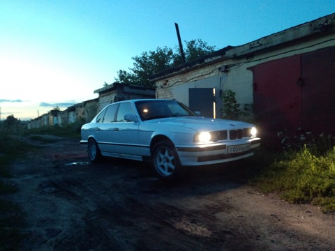 480.jpg