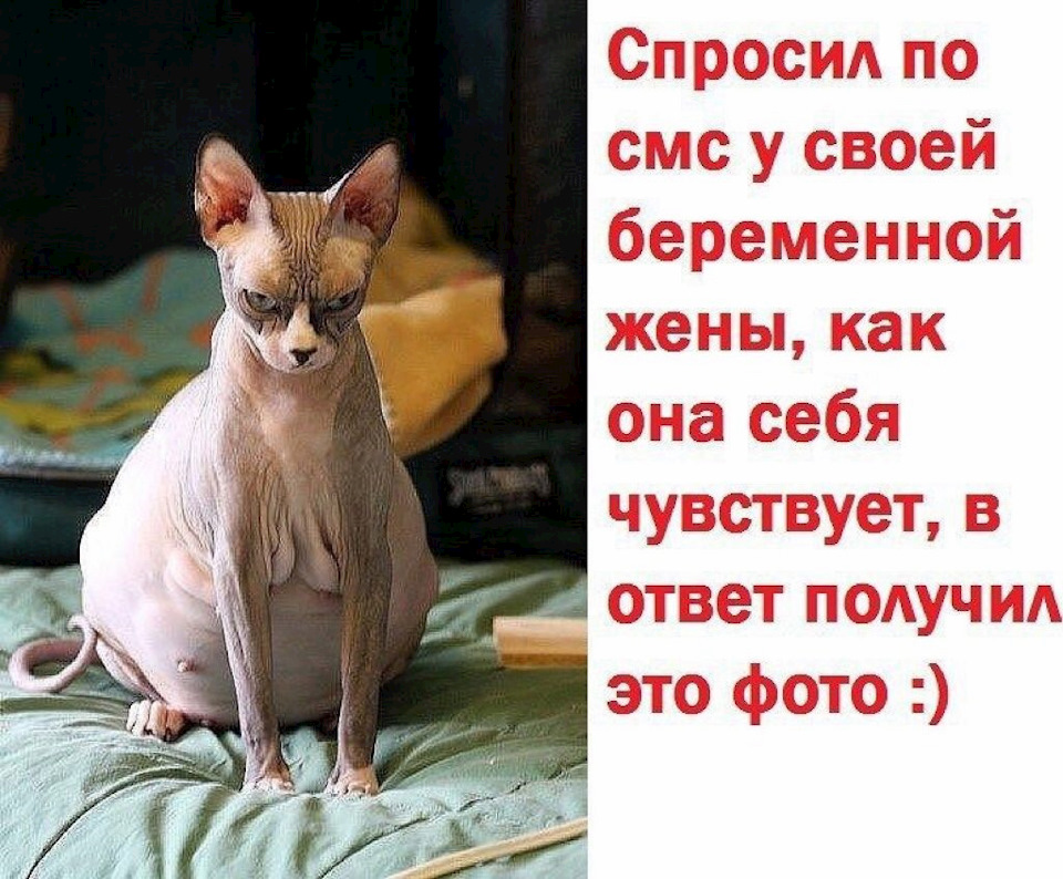 Смешные анекдоты для беременных Смешные анекдоты для беременных