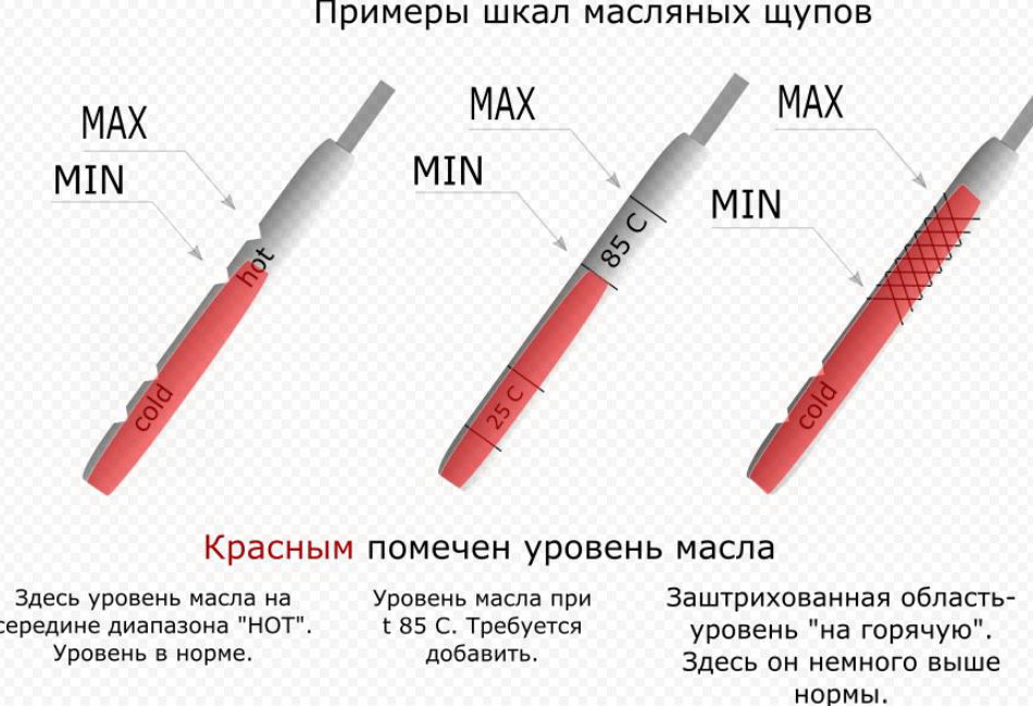 Факер разработал киску толстозадой телки в масле и отодрал ее сзади