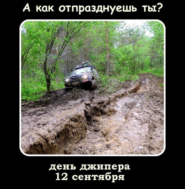 Тост для кумы день рожденье Тост для кумы день рожденье