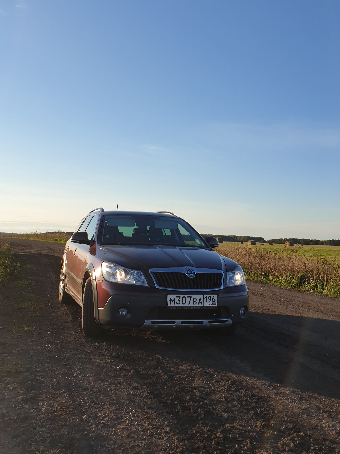 Давно не писал Skoda Octavia Scout A5 Mk2 1 8 л 2011 года