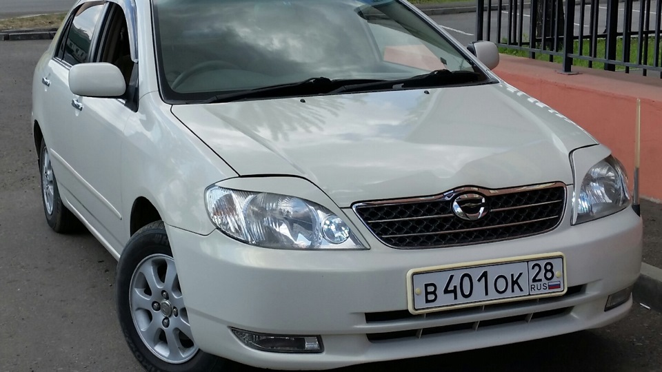 Кузова Тойота Королла По Годам С Фото — Photoby.Ru