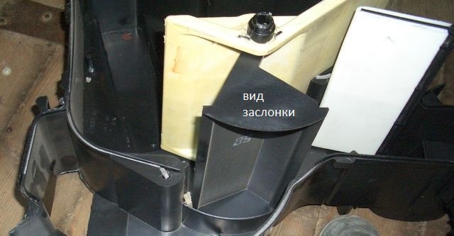 Ель коника выращивание в горшке 34
