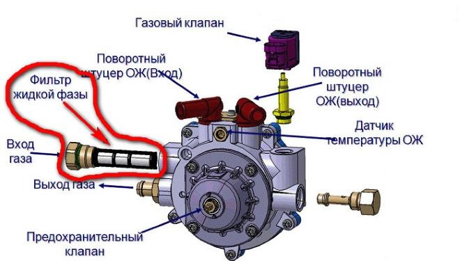 Почему Газы После Секса