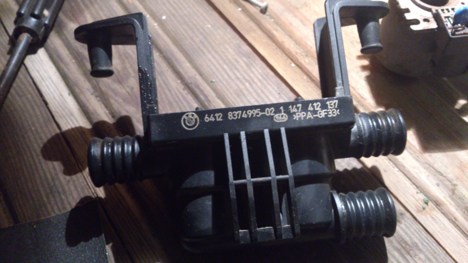 ���� �������� ������ �����