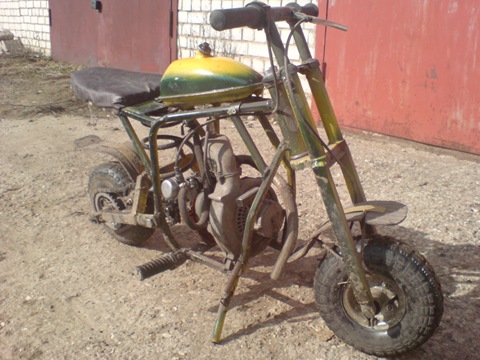 Улей альпийский Улей альпийский