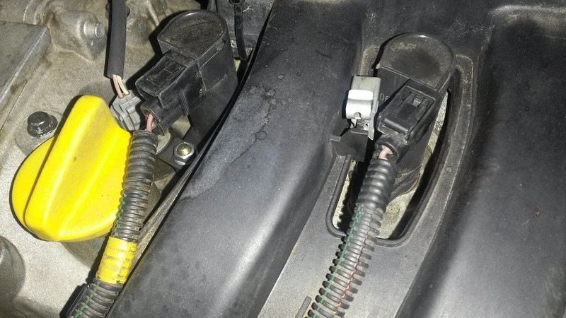 Посадка клубники в августе по лунному календарю Посадка клубники в августе по лунному календарю