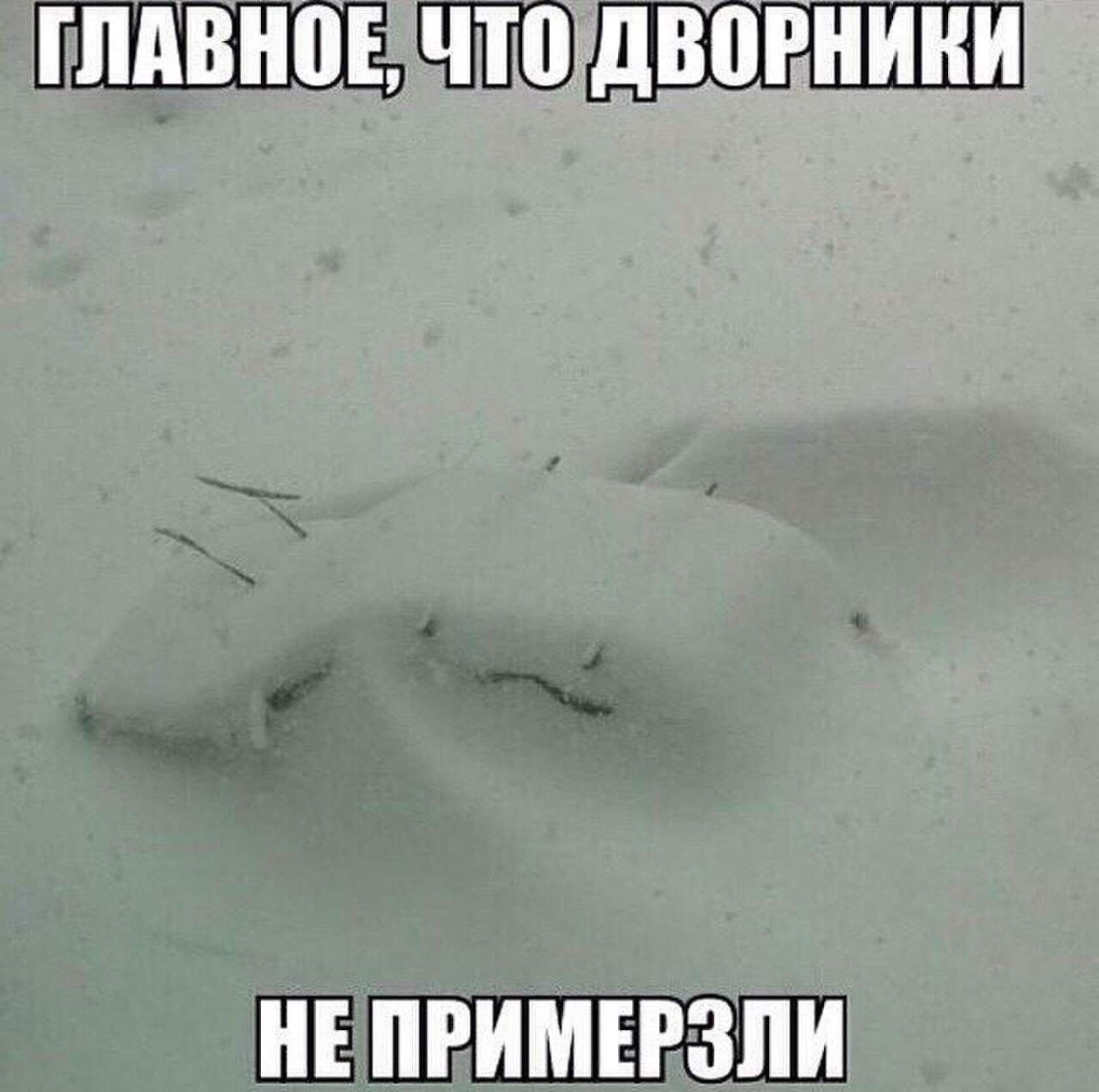 А у нас сегодня снег прикол