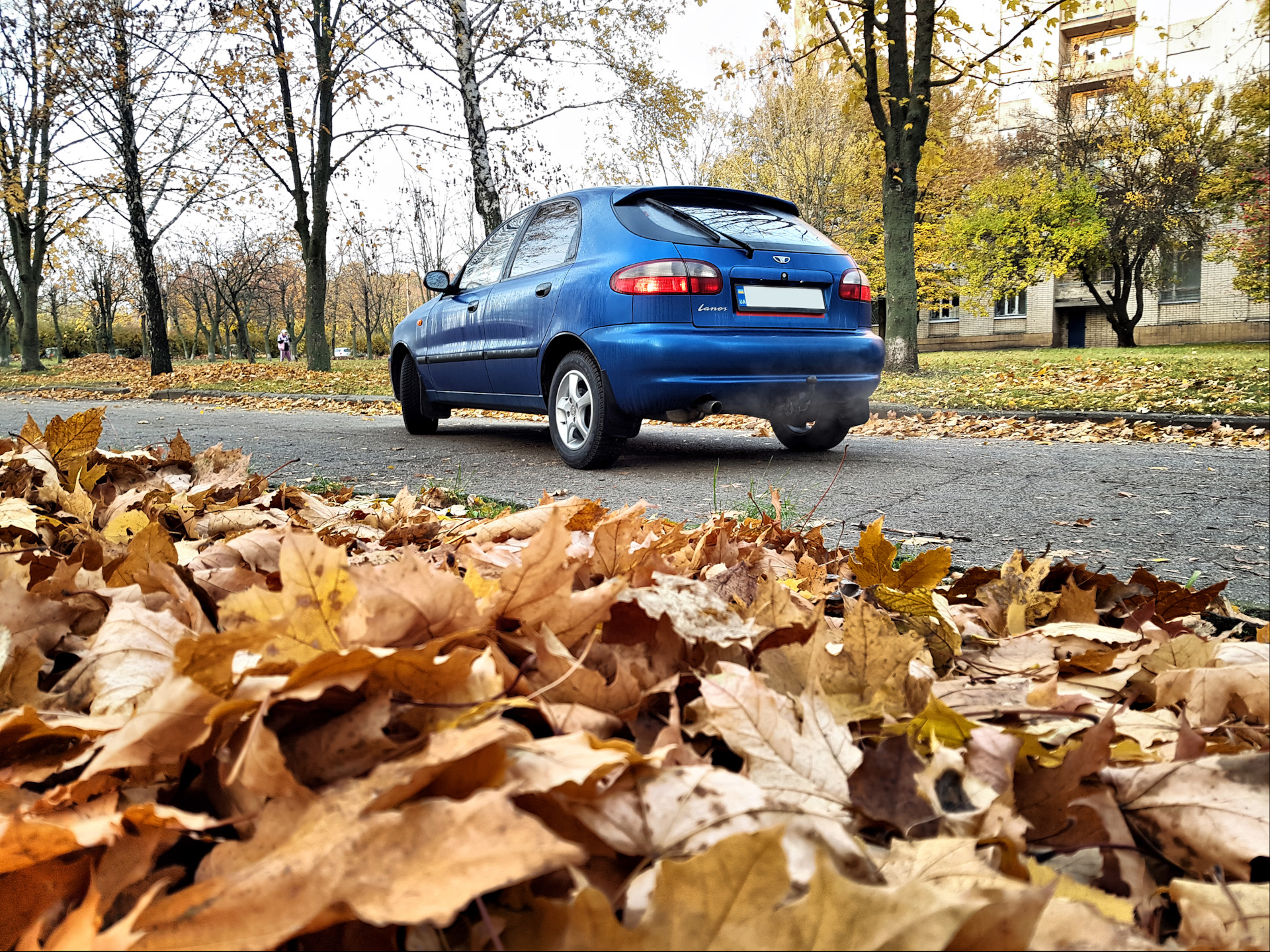 Немного осенних красок Daewoo Lanos 1 5 л 2008 года фотография