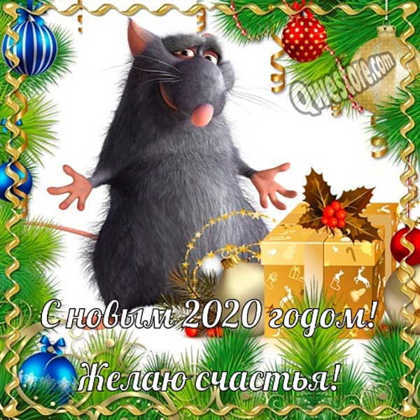 Новогоднее Поздравление От Летучей Мыши