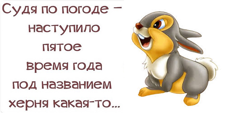 Анекдот про хорошую погоду Анекдот про хорошую погоду