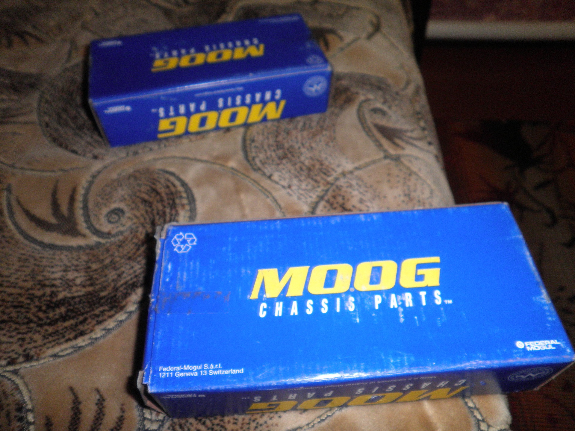 ���� ������ ������