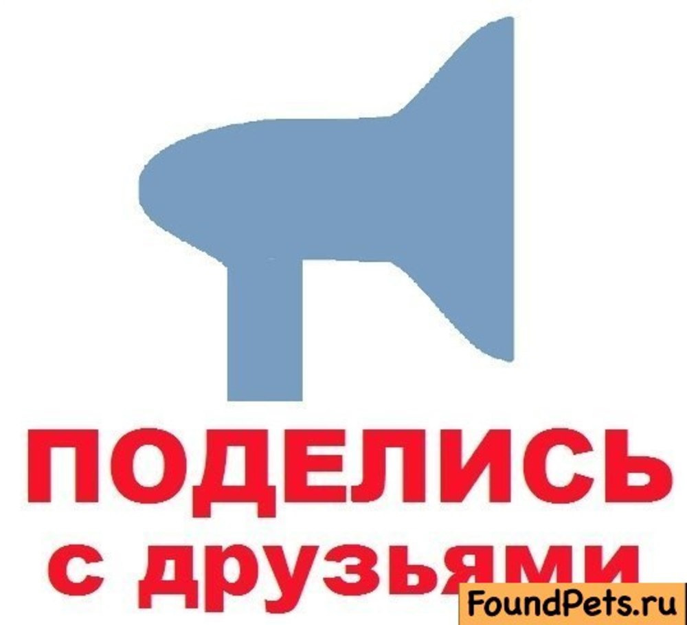 Рисунок поделиться Рисунок поделиться