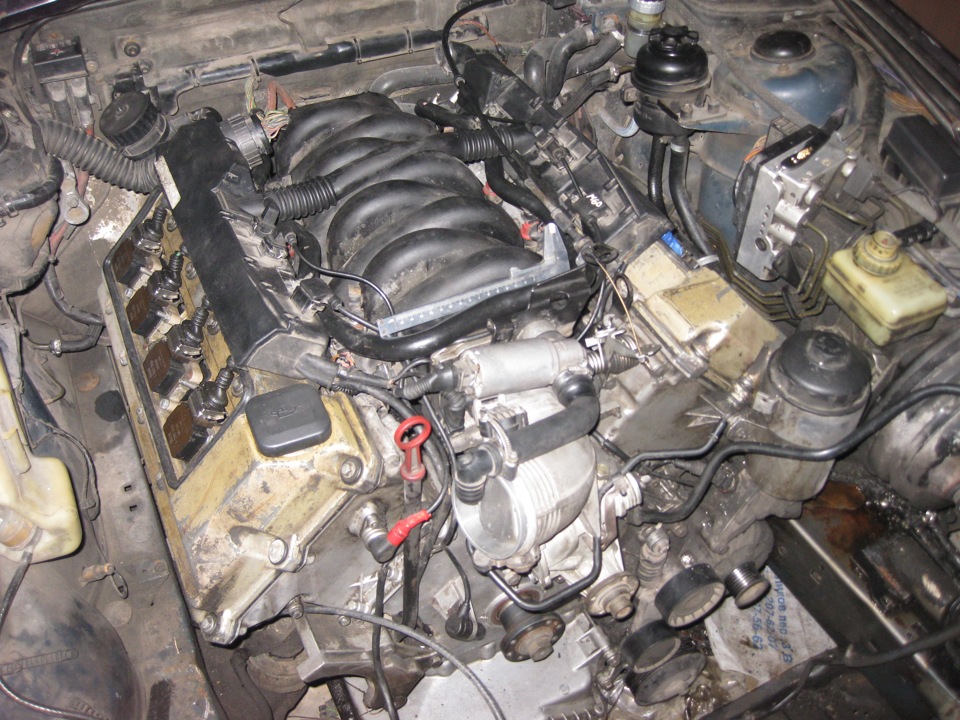 d194ec8s-960.jpg