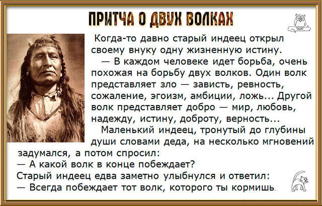 Камеко. Пластические операции в Красноярске Какая видеокарта лучше для игр и как выбрать видеокарту