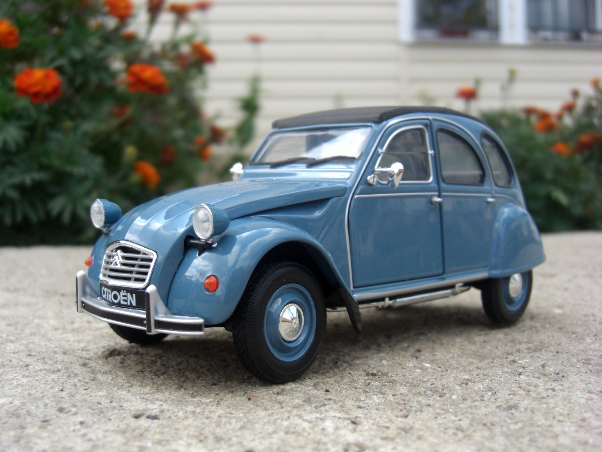 afvallen citroen