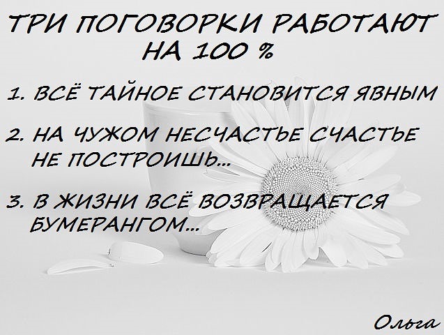 Пословицы новый год к весне поворот Пословицы новый год к весне поворот