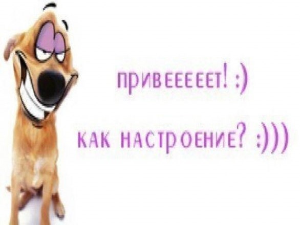 Открытки как дела чем занимаешься Открытки как дела чем занимаешься