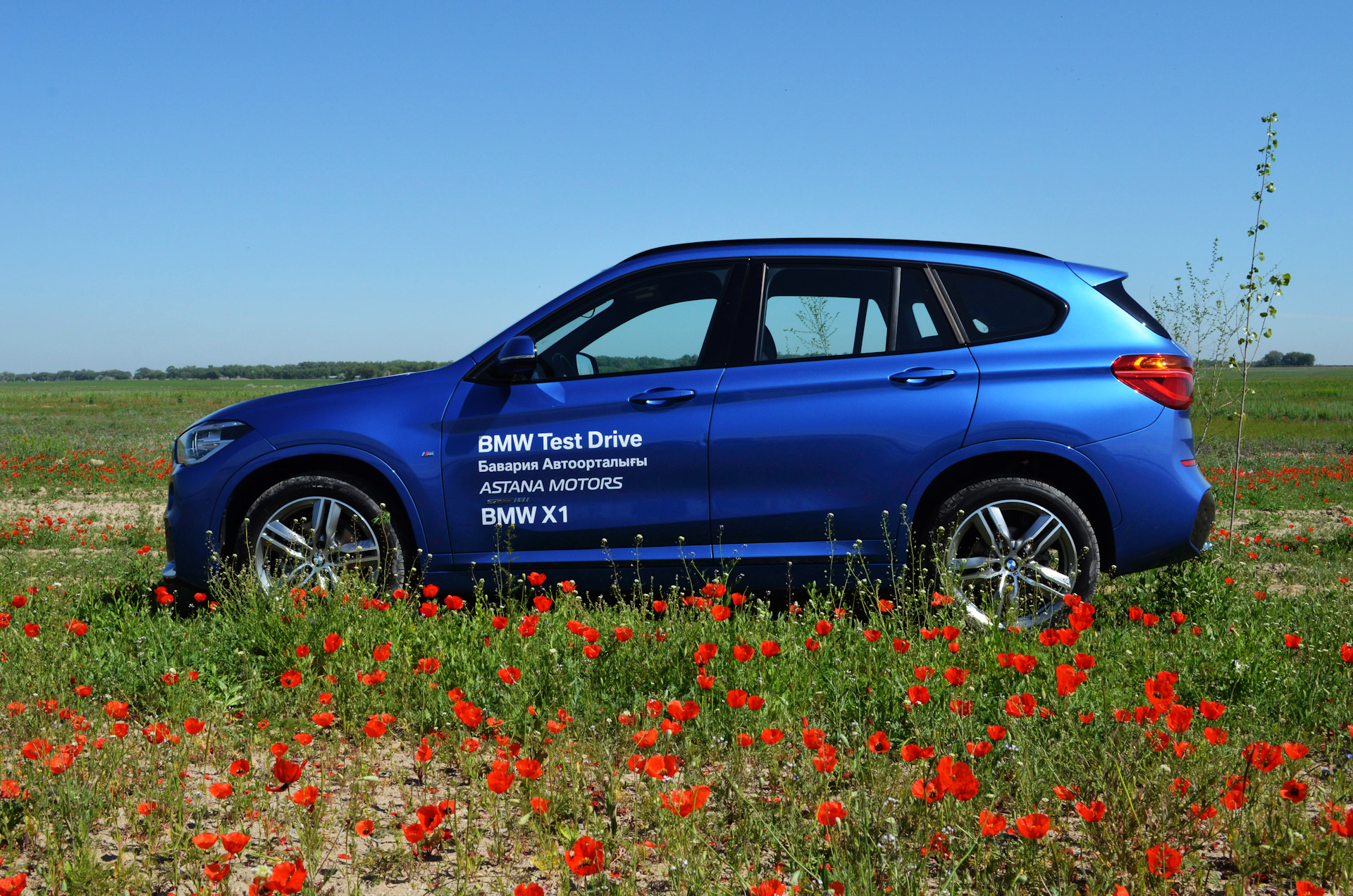 Трах Замужней Дп Член И Фалоимитатор Видео