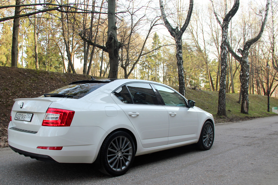 Литые Диски На Шкоду Октавия А7 Фото – Telegraph