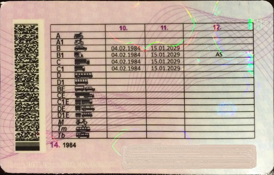 Замена Водительского Удостоверения Сколько Фото – Telegraph