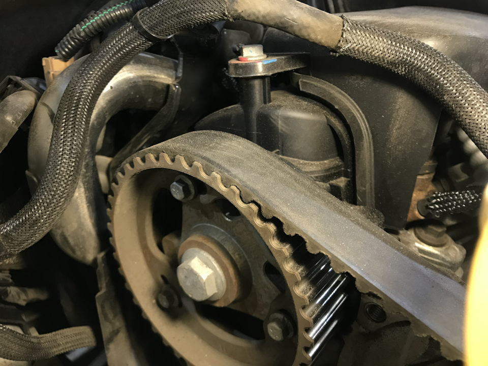 Замена ремня ГРМ — Renault Duster (1G), 1,5 л, 2017 года | расходники ...