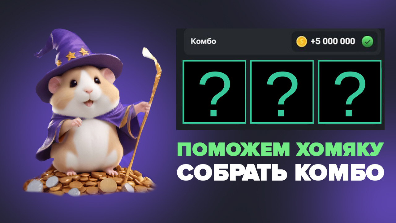 Hamster combat комбо 6.06