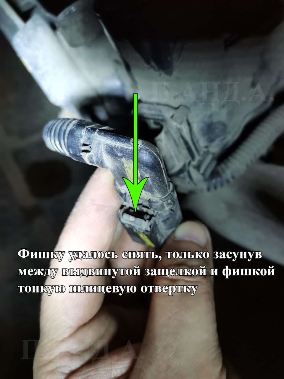 Фото в бортжурнале Haval F7x (1G)