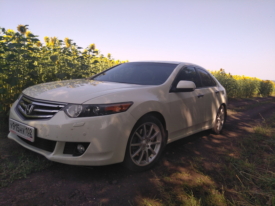 1. — Honda Accord (8G)