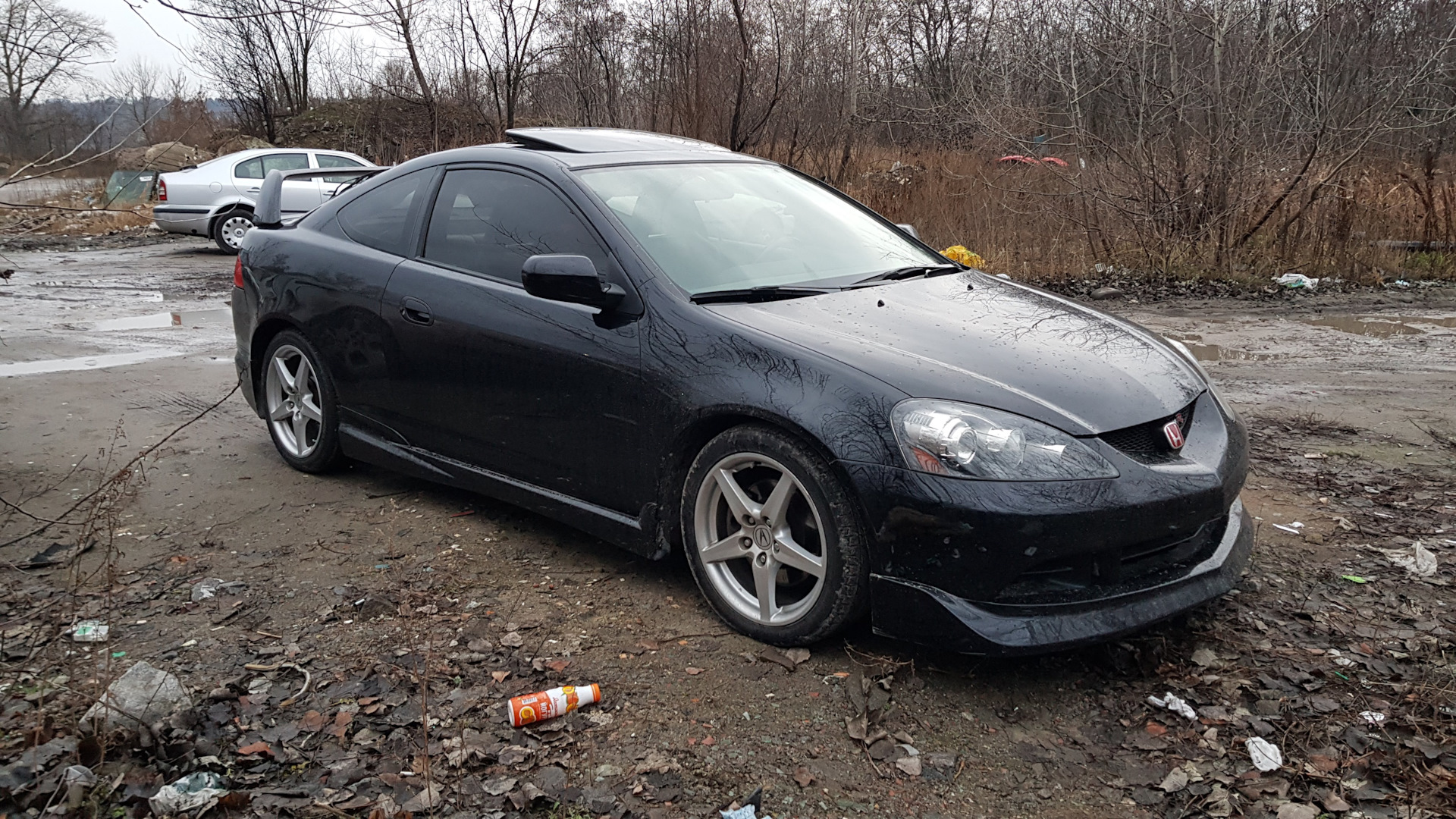 Acura RSX 2.0 бензиновый 2005 | : Моя Sучка на DRIVE2