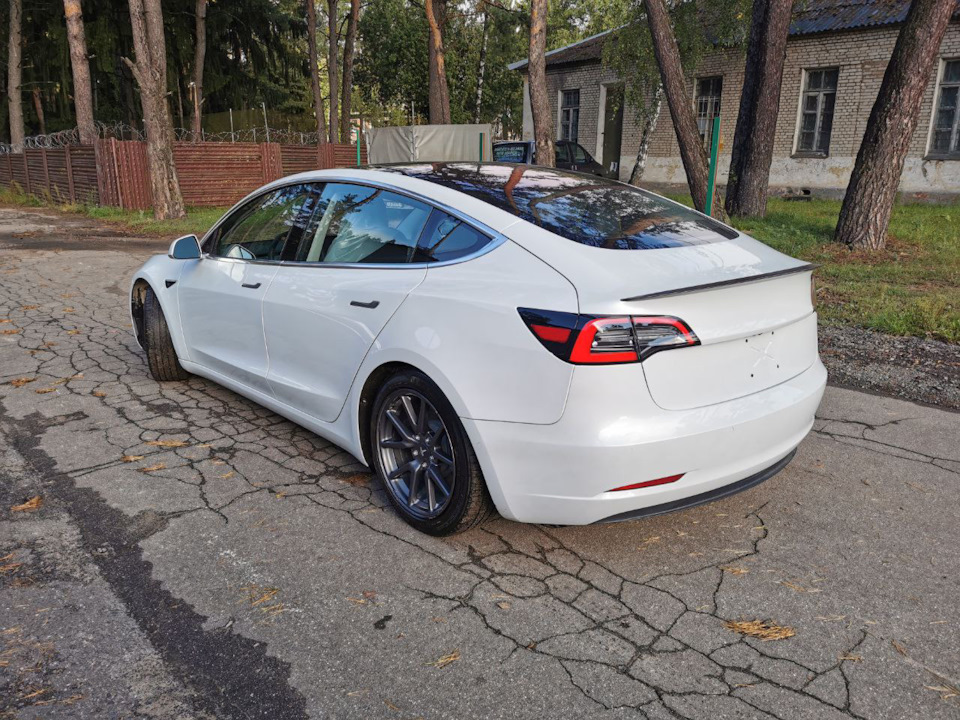 Про задние фонари — Tesla Model 3 (1G), 2018 года | аксессуары | DRIVE2