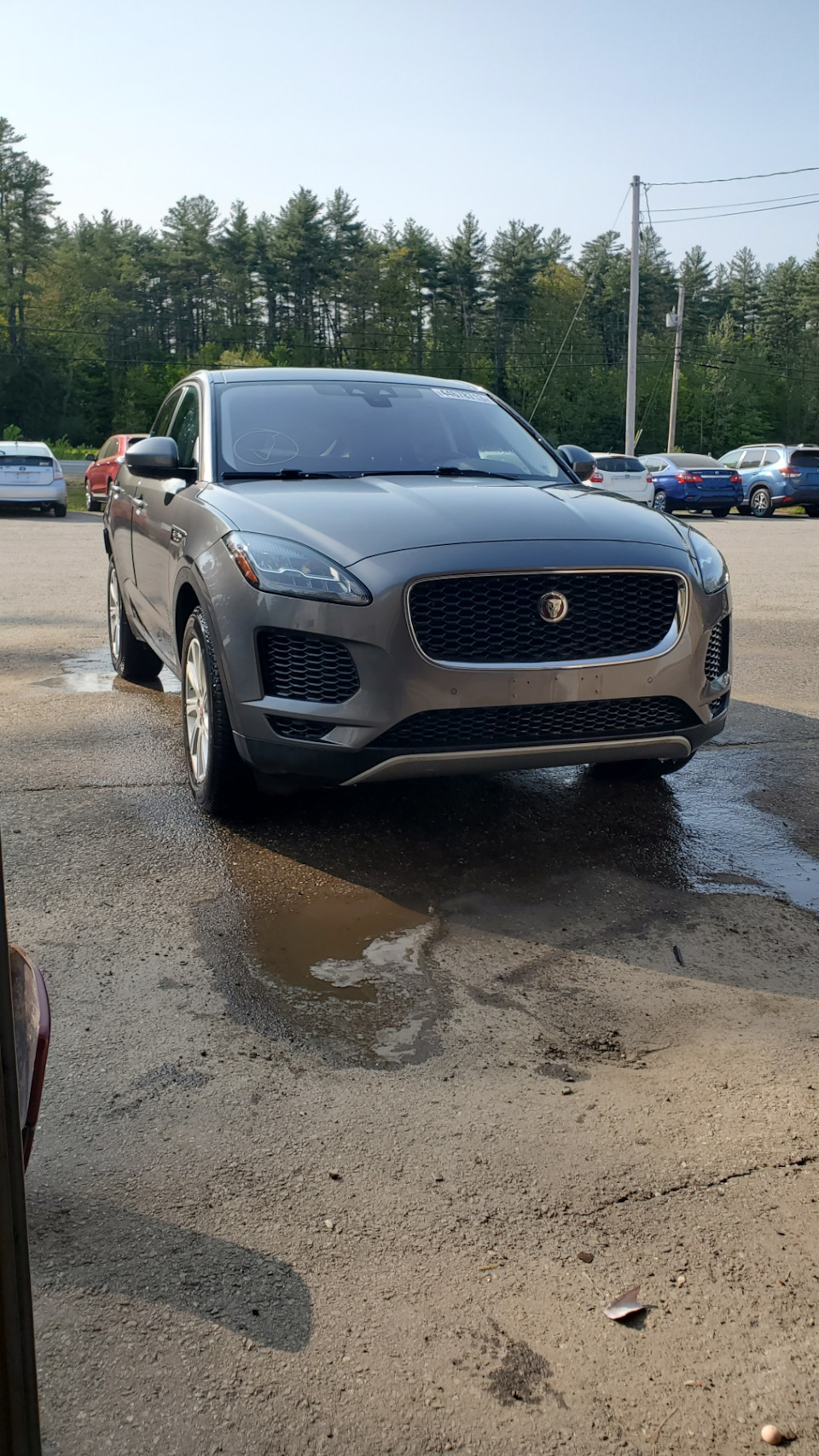 Вот фото какой он приехал с аукциона — Jaguar E-Pace, 2 л, 2019 года |  покупка машины | DRIVE2