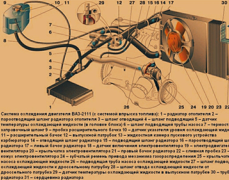 Схема радиатора охлаждения ваз. Давление в системе охлаждения ВАЗ. 2110 Система безопасности.