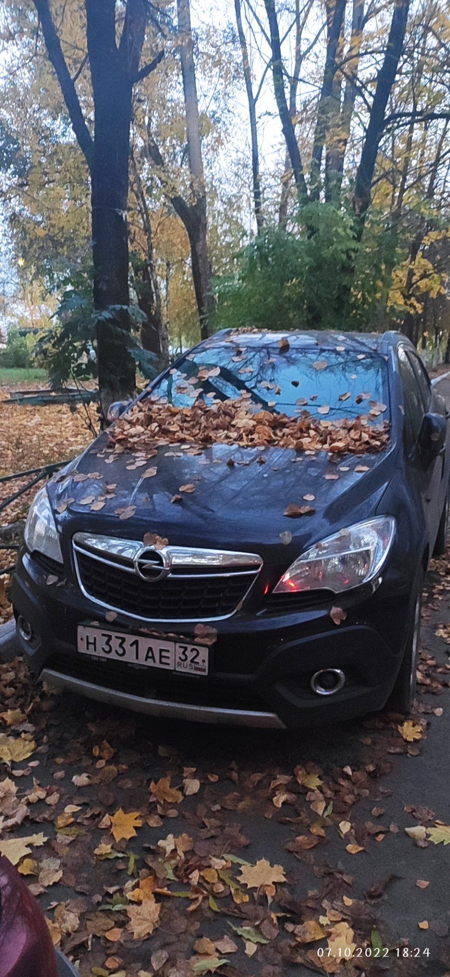 Осень и гости в Казявочке — Opel Mokka, 1,4 л, 2014 года | наблюдение |  DRIVE2