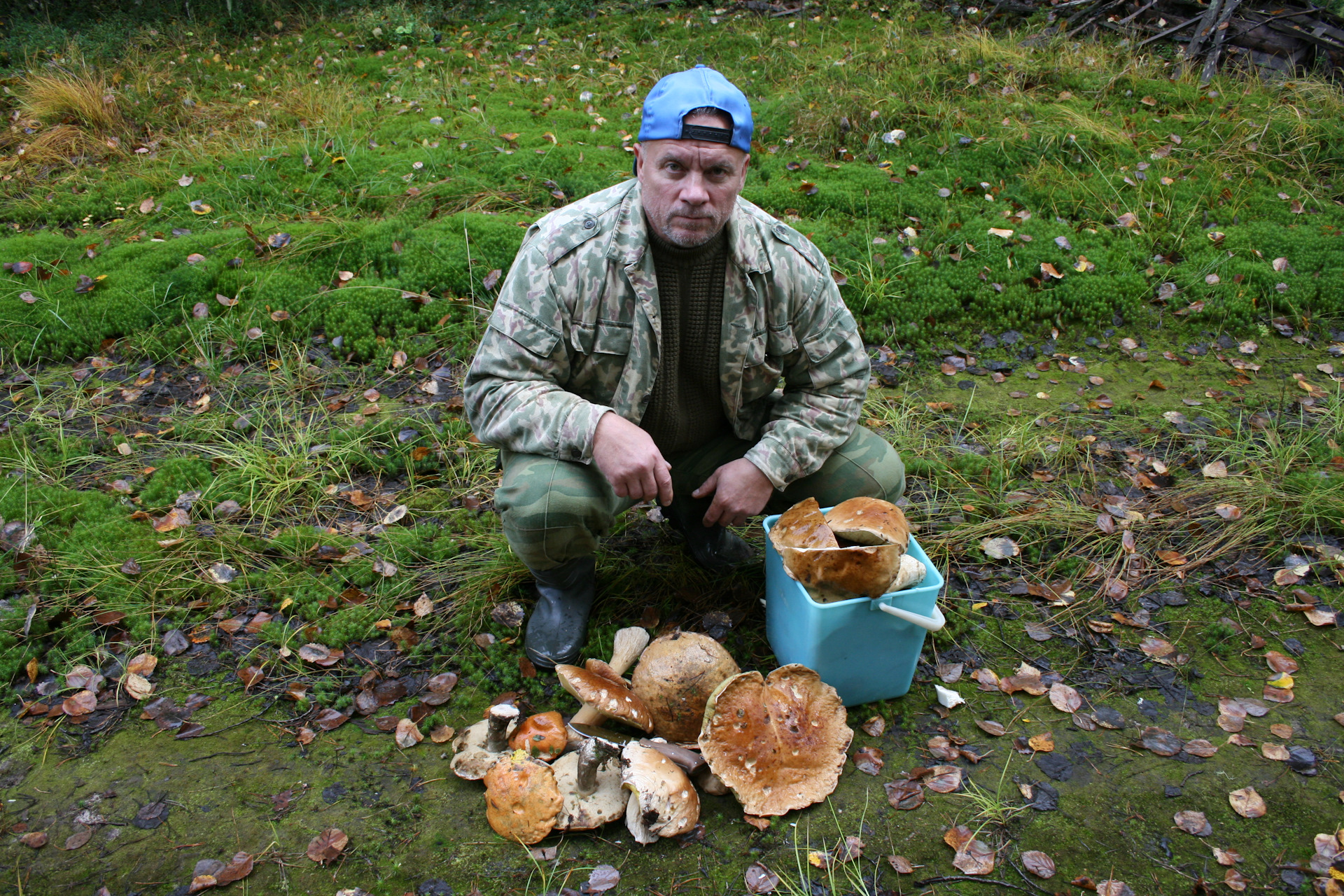 Собирать грибы в горах