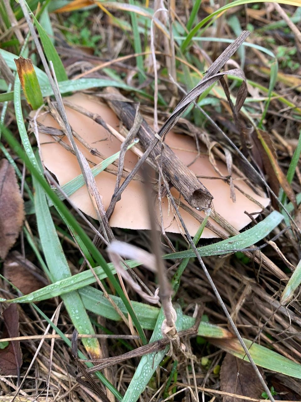 Фото в бортжурнале УАЗ Patriot