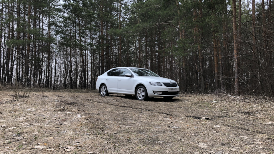 Небольшое сравнение Octavia vs Tiguan — Skoda Octavia A7 Mk3, 1,4 л ...