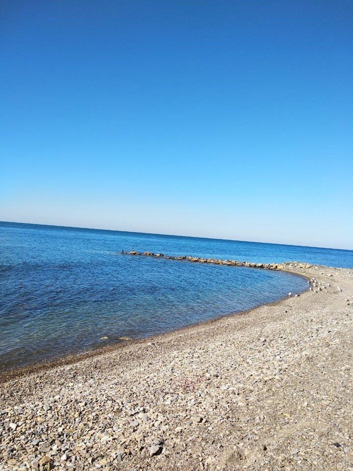 погода порадовала — Renault Koleos (2G)