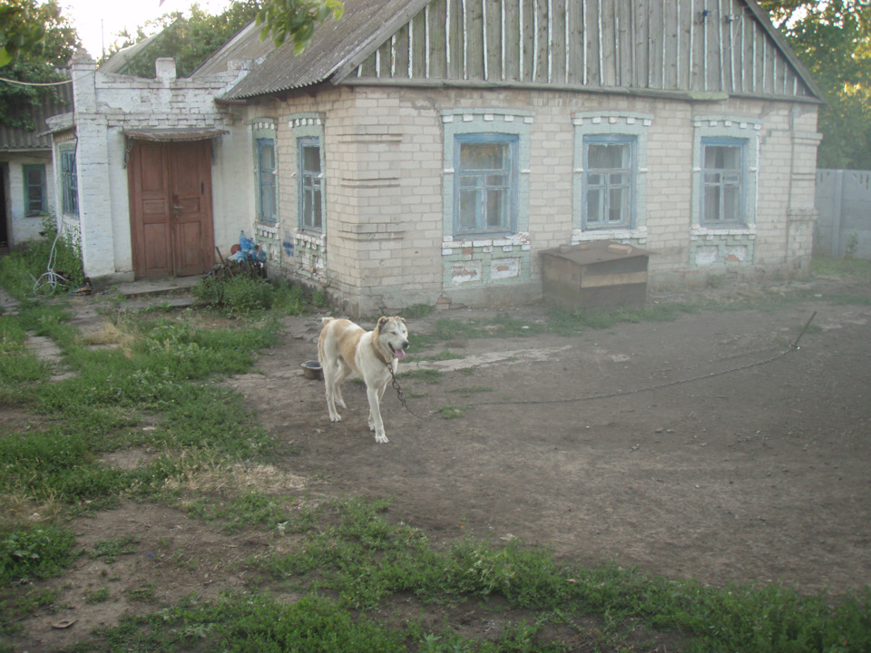 Строить гараж во сне