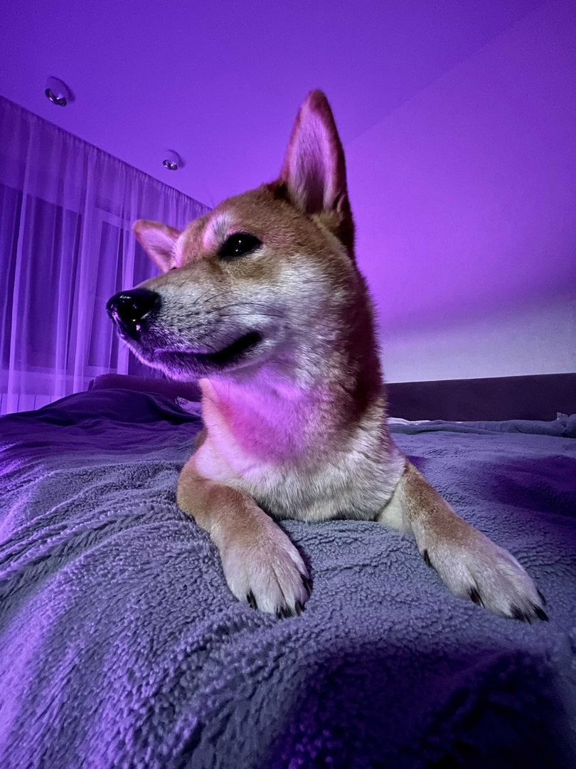 Какое масло лить в МКПП 6ст? — Skoda Octavia A7 Mk3, 1,8 л, 2017 года ...