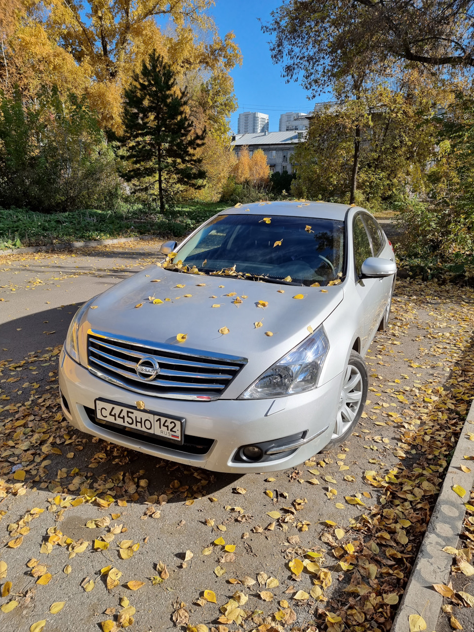 Продаю, анализируем отчет (для покупателей) 179 601 км — Nissan Teana  (J32), 2,5 л, 2008 года | продажа машины | DRIVE2