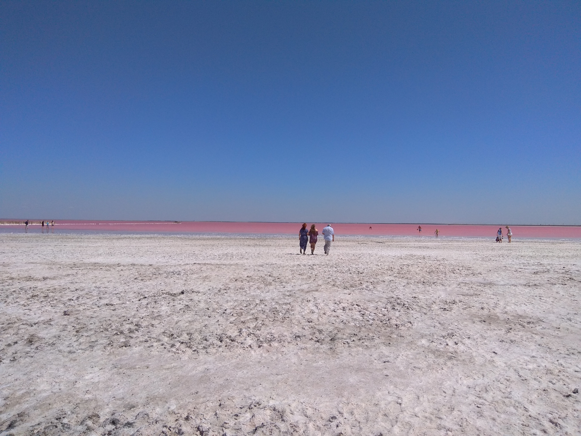 Розовое озеро яровое. Яровое красное озеро. Розовое озеро Алтайский край Яровое. Малиновое озеро Алтайский край.