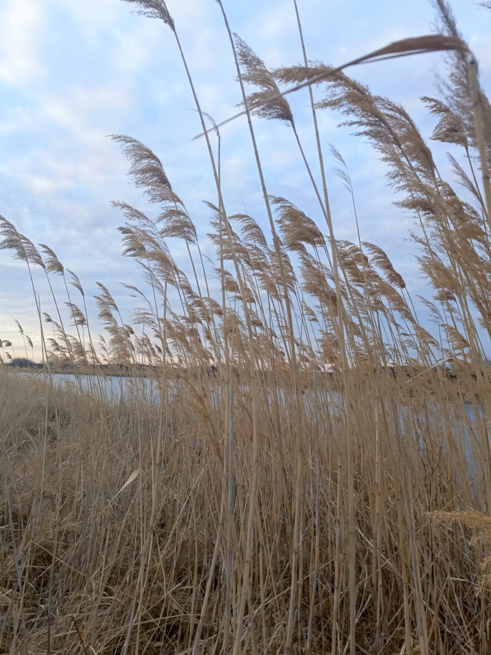 Фото в бортжурнале УАЗ Patriot
